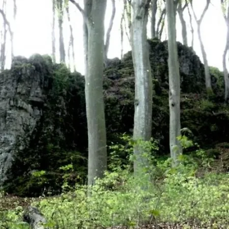 Сasa de vacaciones Eifelferienhaus Thome Lissendorf