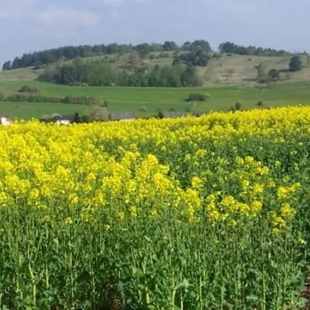 Eifelferienhaus Thome *