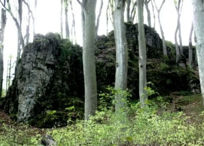 Prázdninový dům Eifelferienhaus Thome Lissendorf